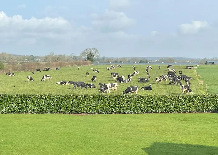 Country Hideaway 홈스테이 Croagh